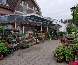 D’oudebloemensmidse heelsum