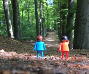 Stiltecoaching - Oosterbeek